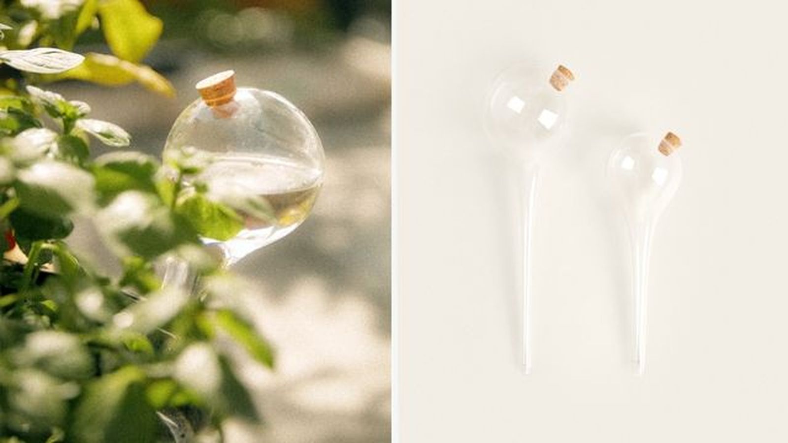 burbuja de autoriego borosilicato