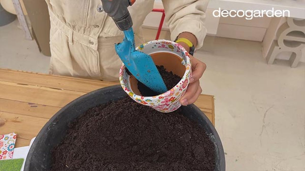 revivir cactus decorar maceta decoupage paso 8