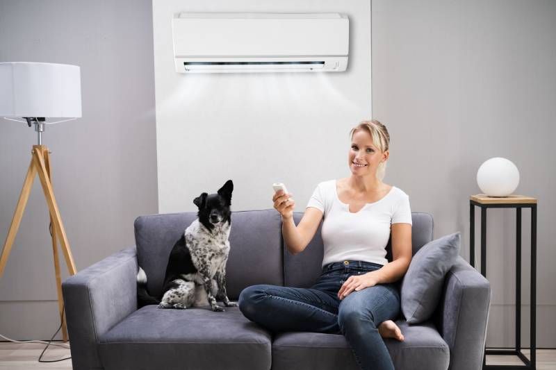 Los perros tienen más dificultad que nosotros para regular la temperatura corporal.