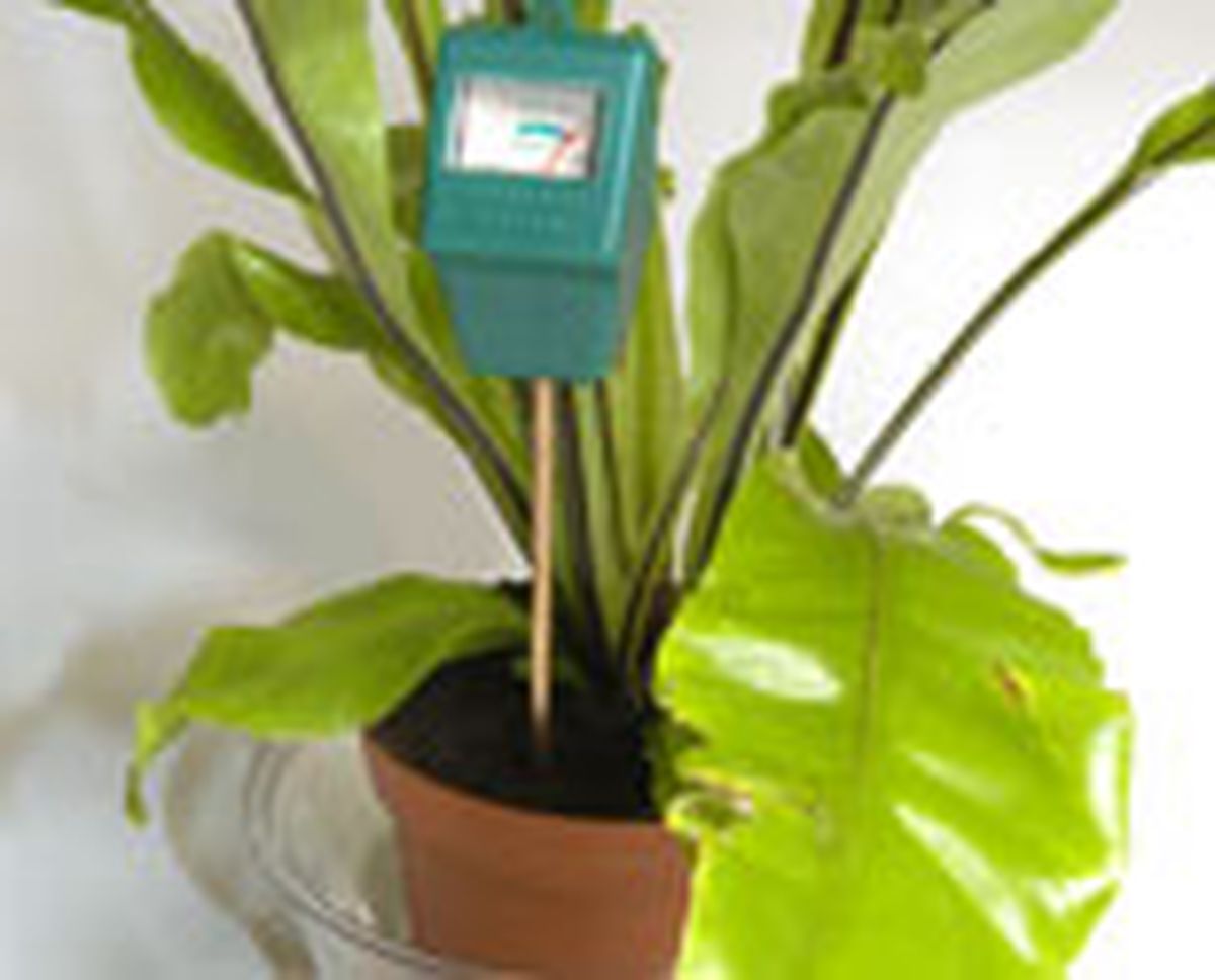 339 rieg plan int p03