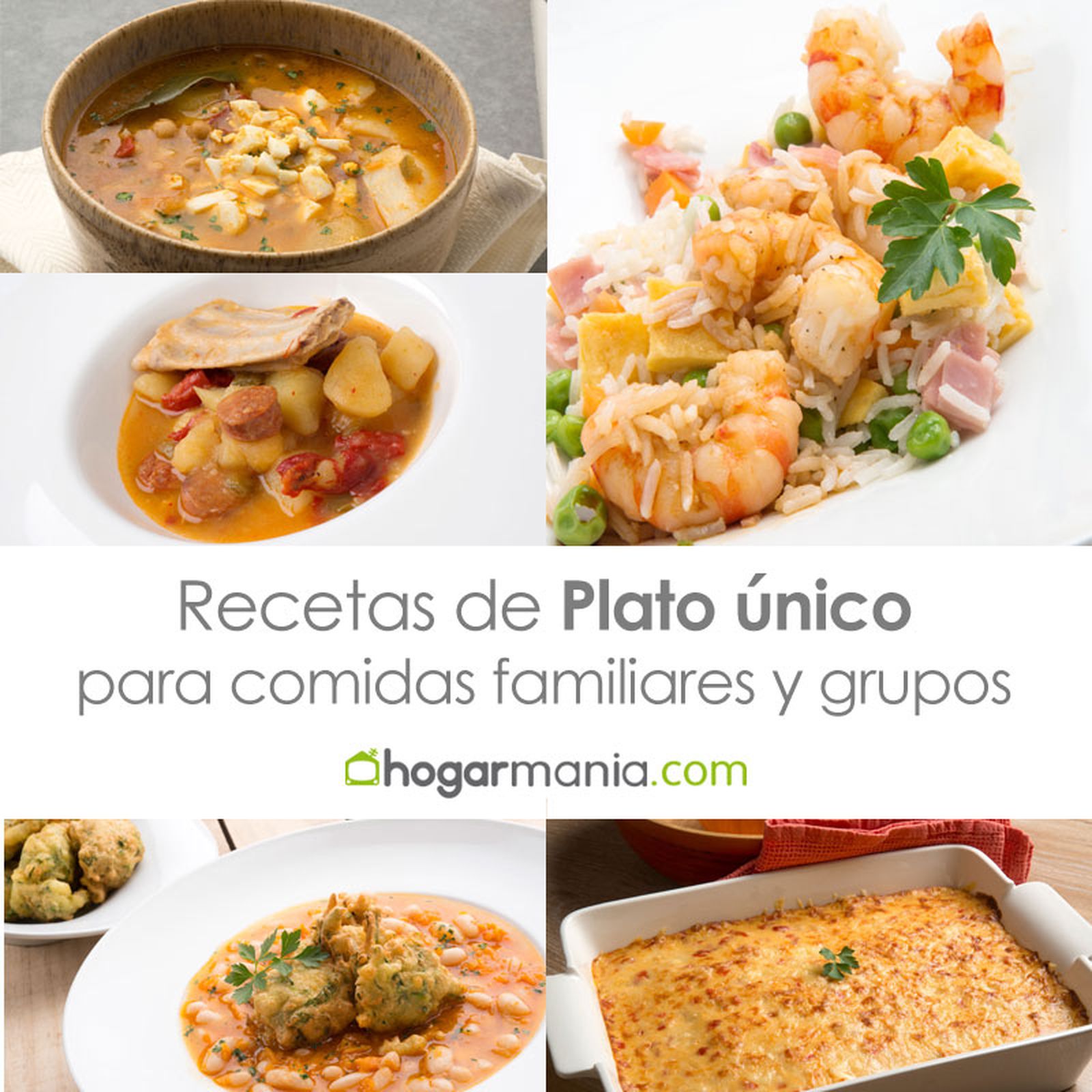 platos familia