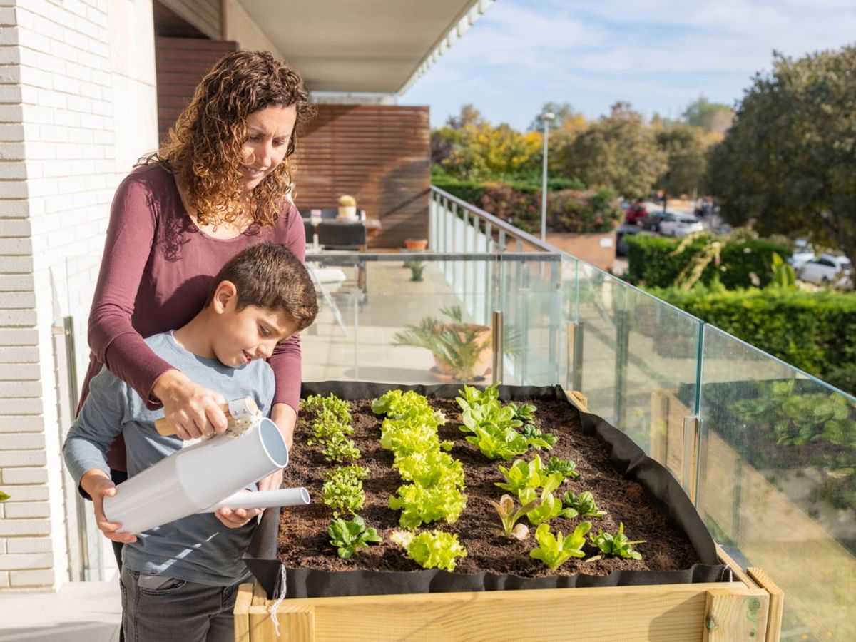 Aporta los riegos que demanden los cultivos.