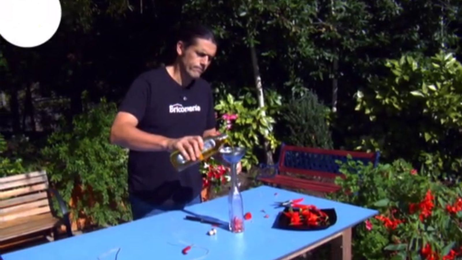 BRICO_JARDIN 763 aceite al chile picante