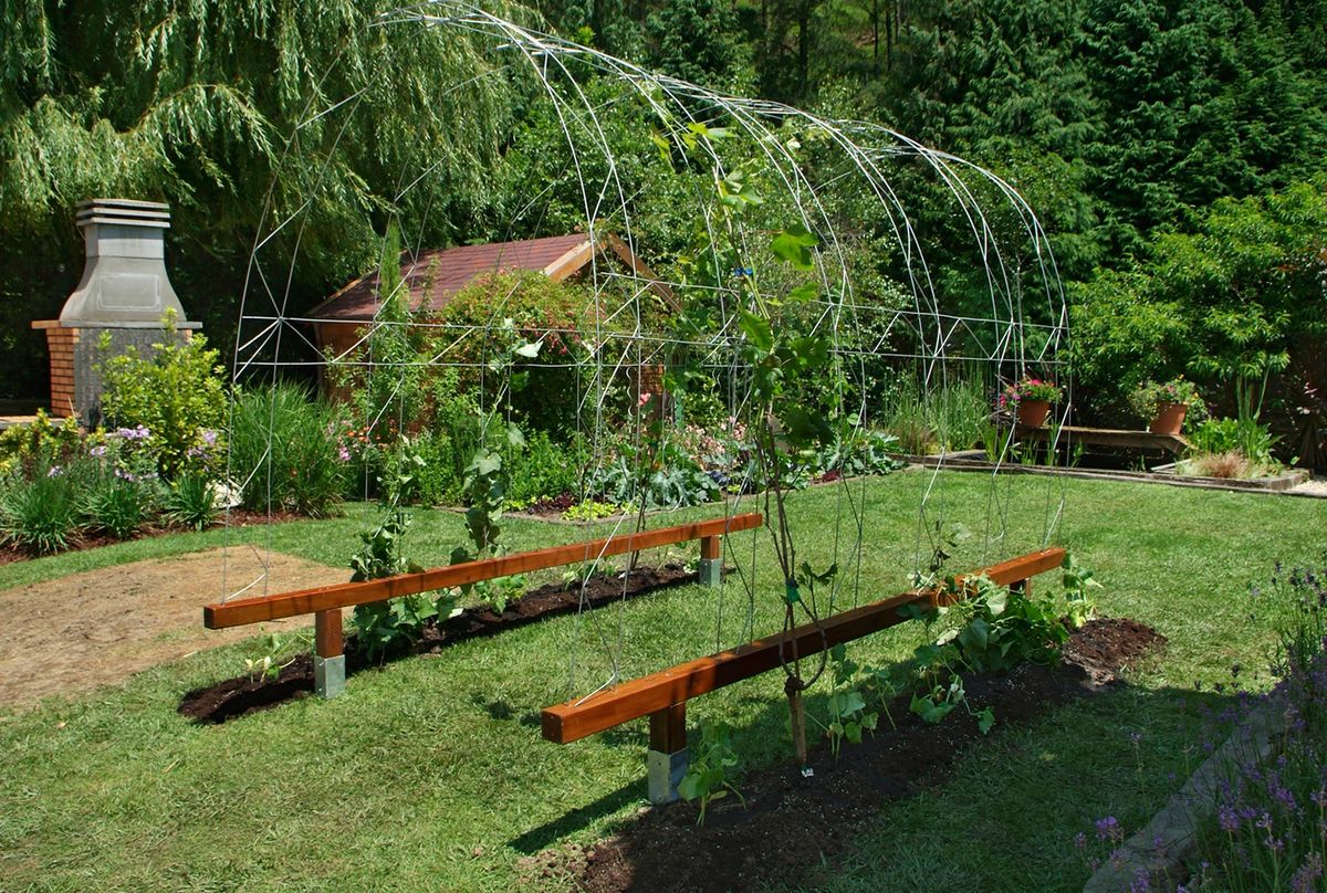 brico 0519 pergola tunel xl