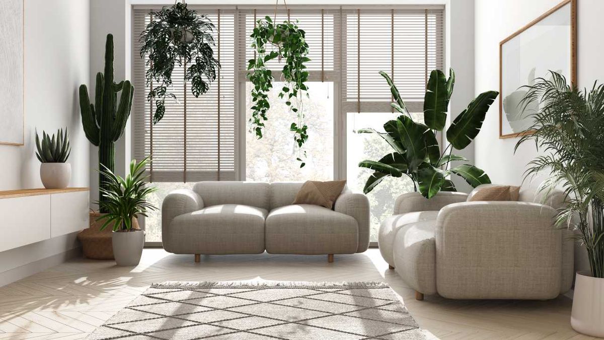 Salón con plantas grandes y plantas colgantes.