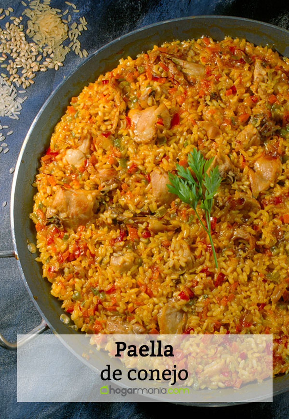 138 1 paella conejo pin
