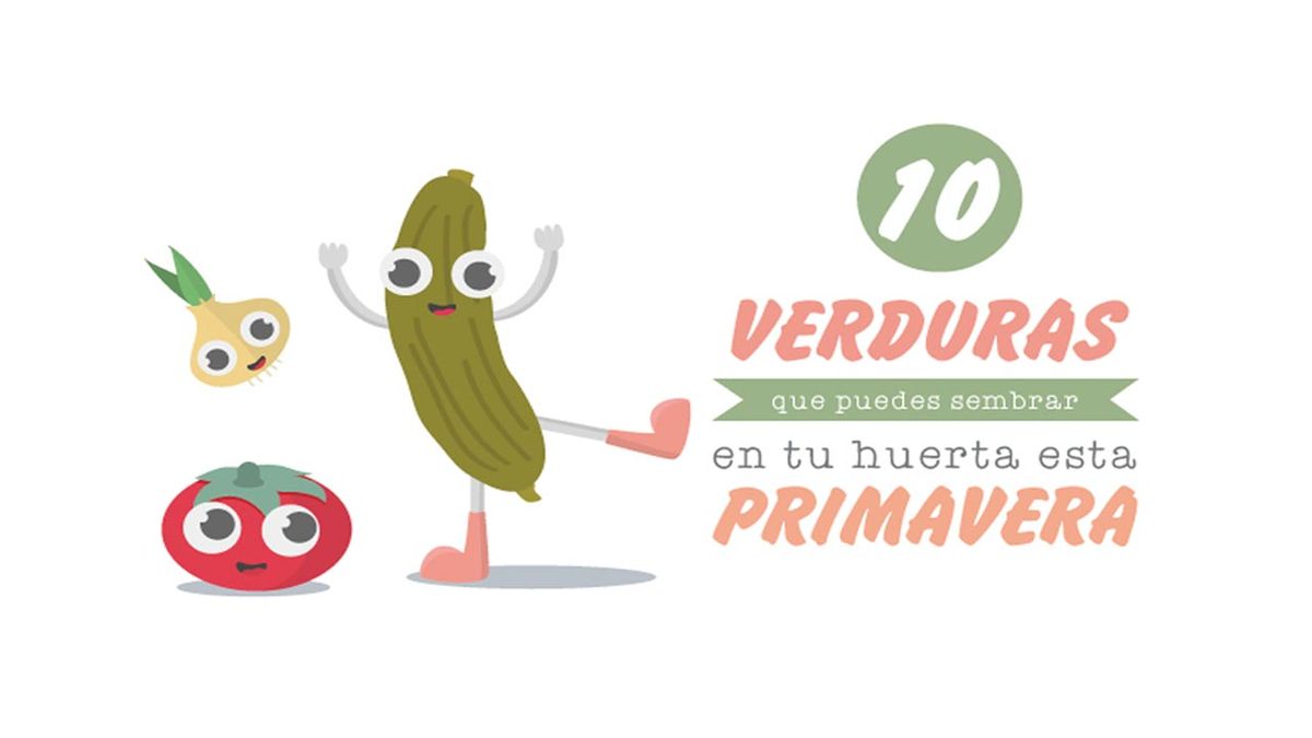 Verduras sembrar huerta primaverla xl