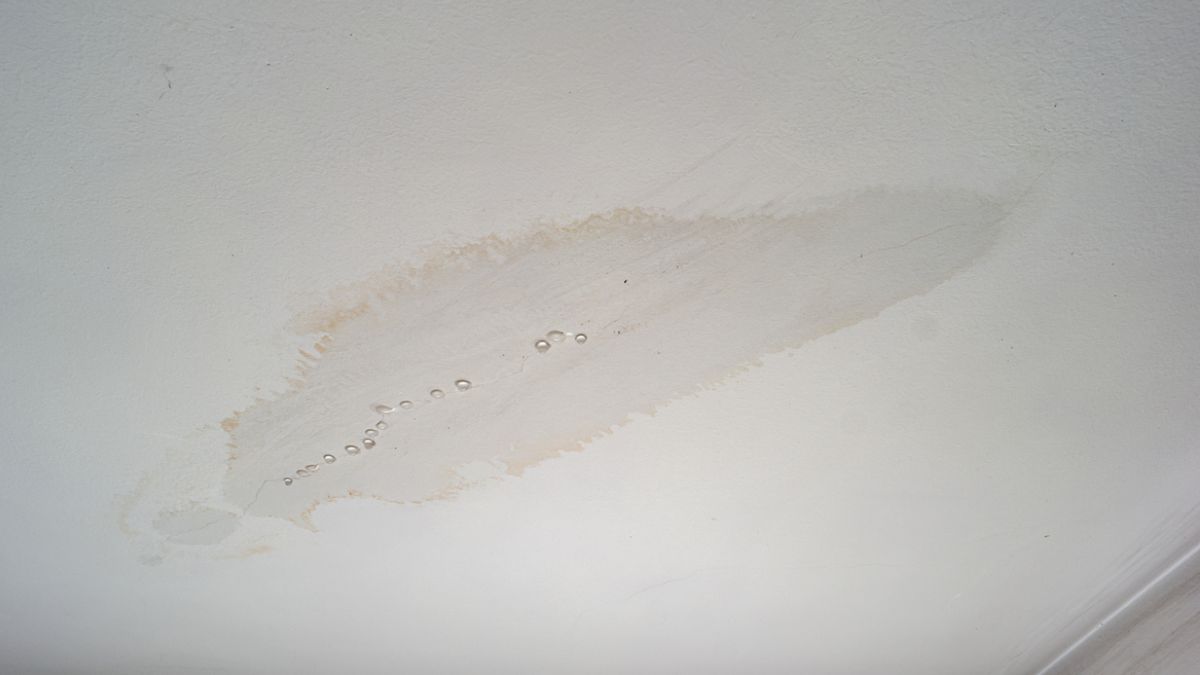 humedad en paredes 1