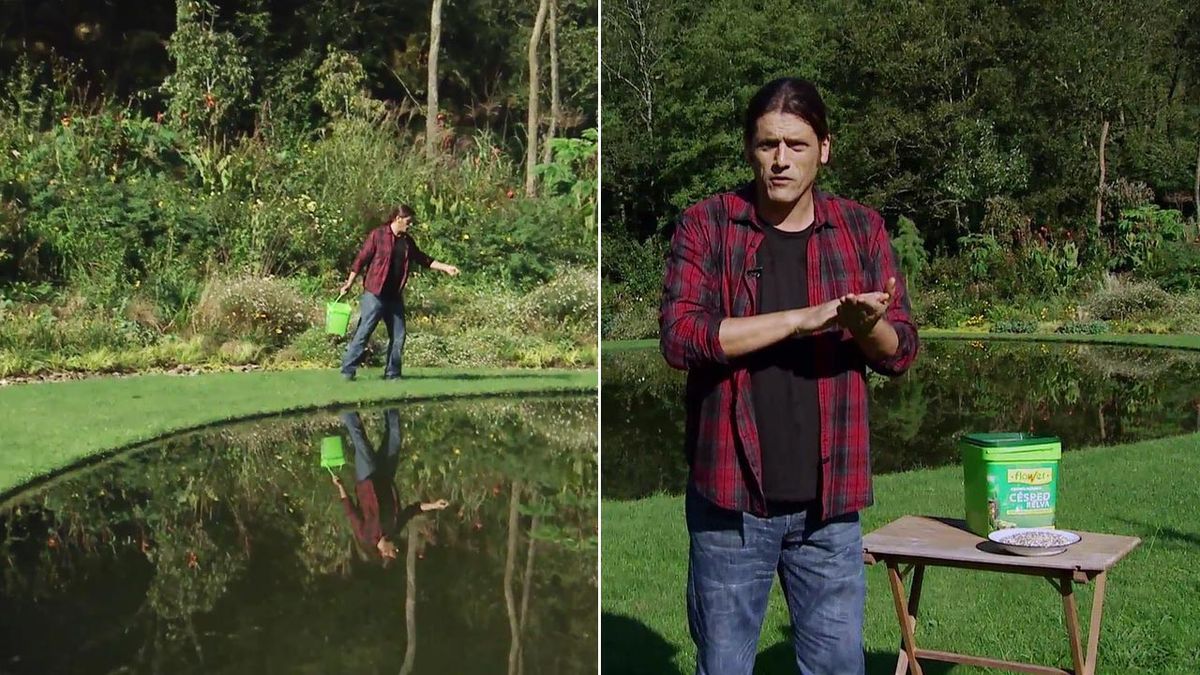 deco 625 abono cesped otono xl