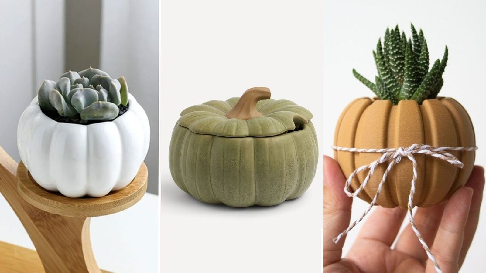 maceteros con forma de calabaza mas bonitos para tus plantas