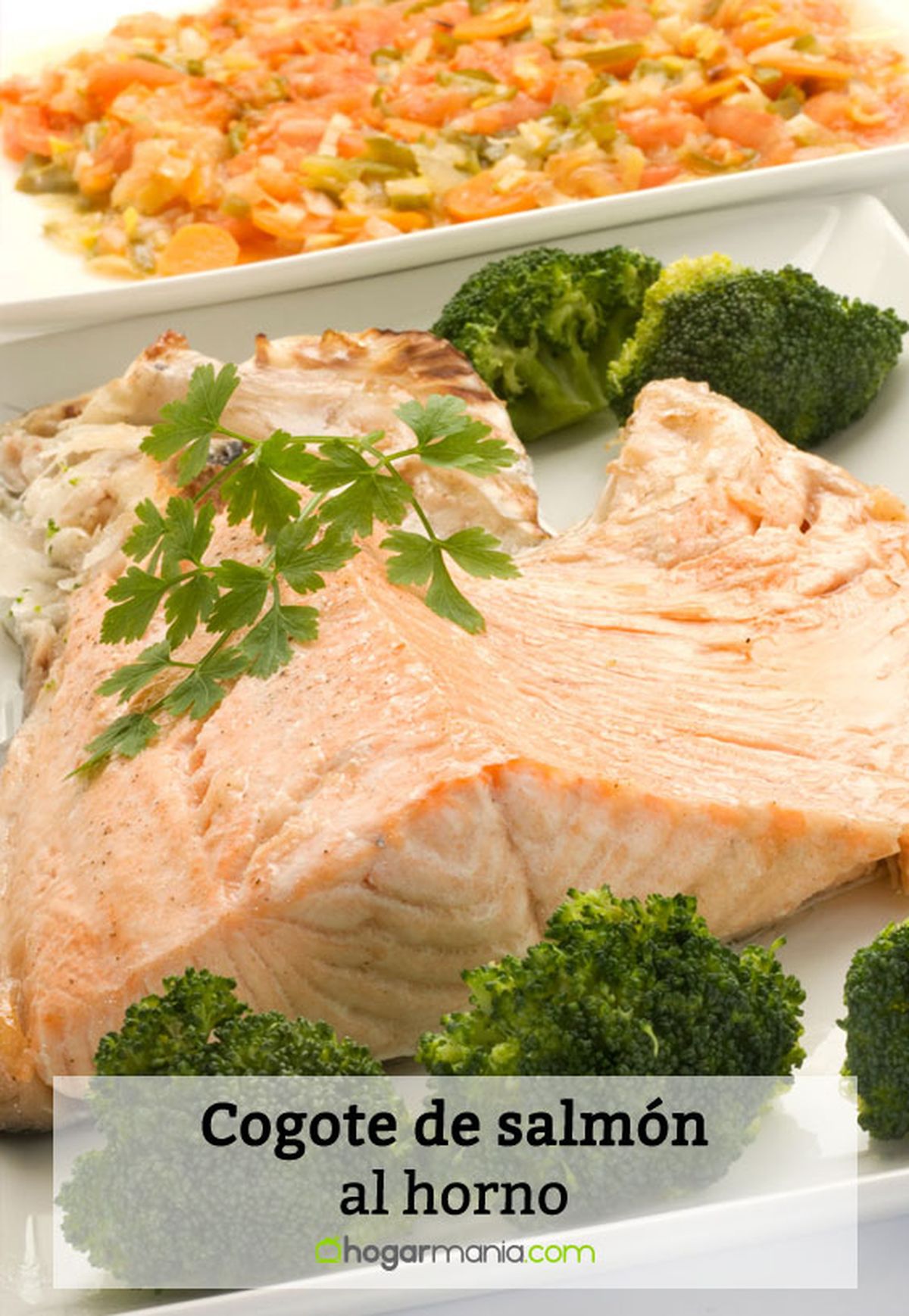 cogote salmon horno pin