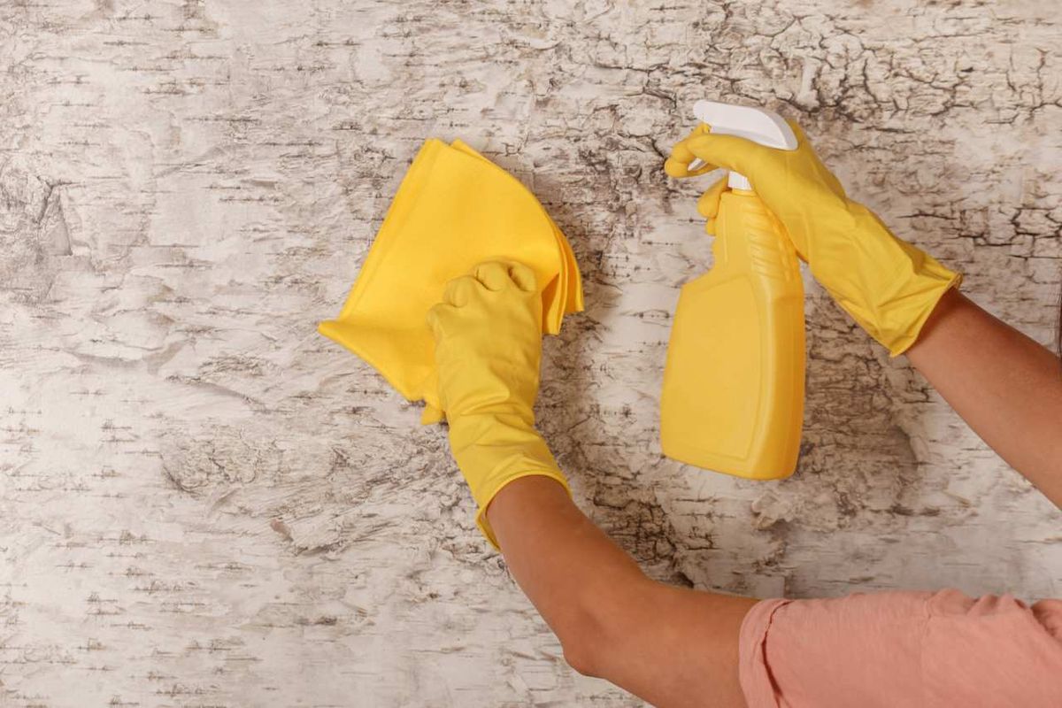 Limpieza y mantenimiento de paredes empapeladas