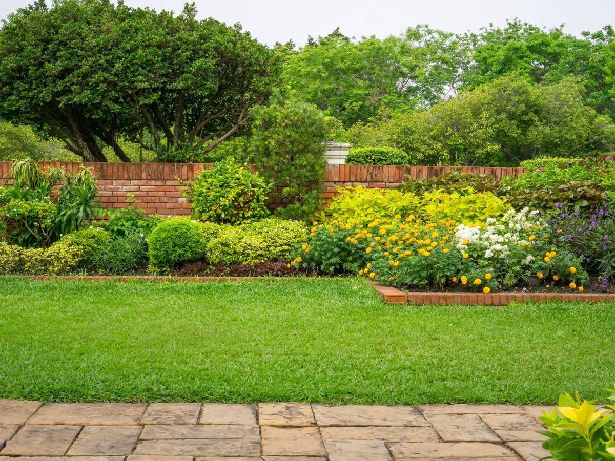 Un buen mantenimiento del césped incluye vigilancia y cortes regulares.