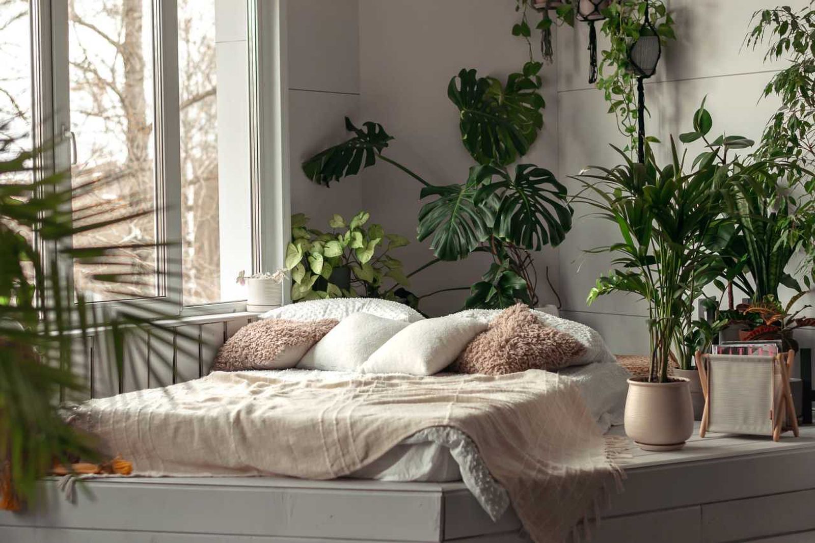 Dormitorio ecológico decorado con plantas.