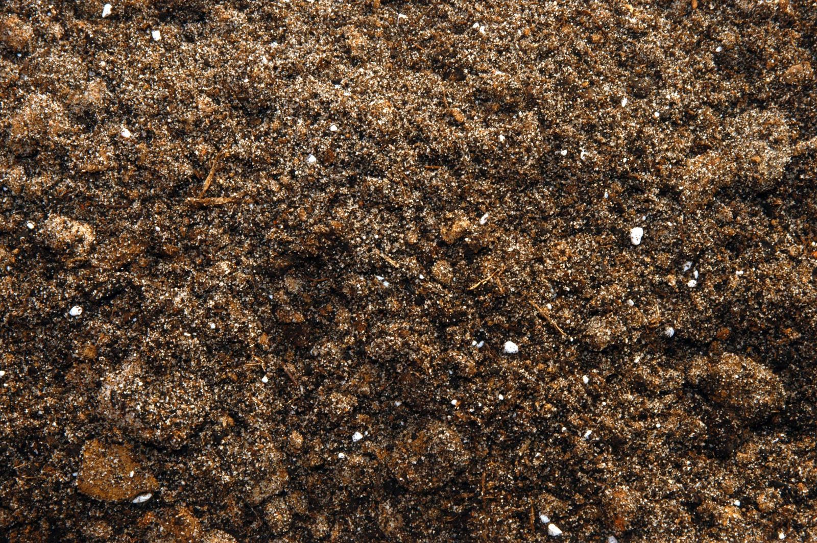 Texturas de la tierra