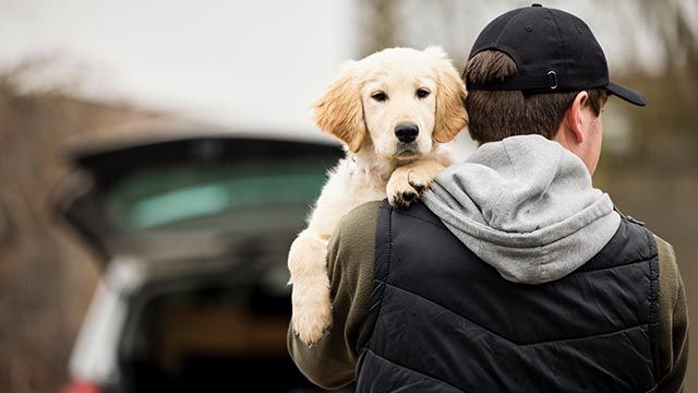 dejar perro con otra persona 2
