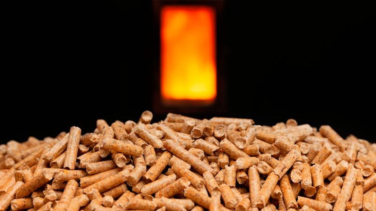 Pellets de madera