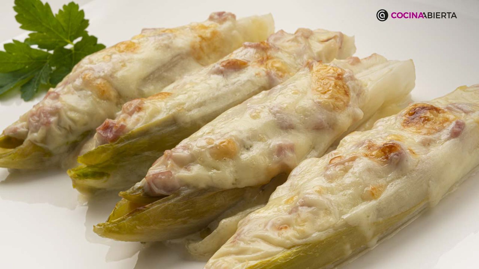 karl6895 endibias bechamel xl