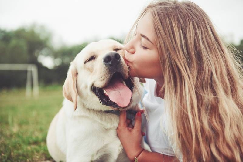 Es fundamental respetar los momentos de tranquilidad de nuestra mascota.