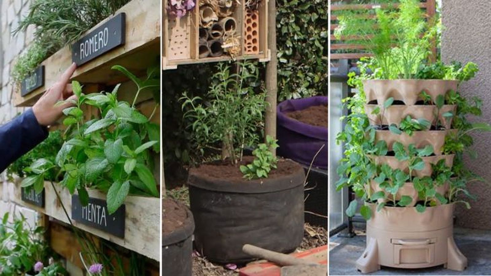 donde cultivar plantas aromaticas 2