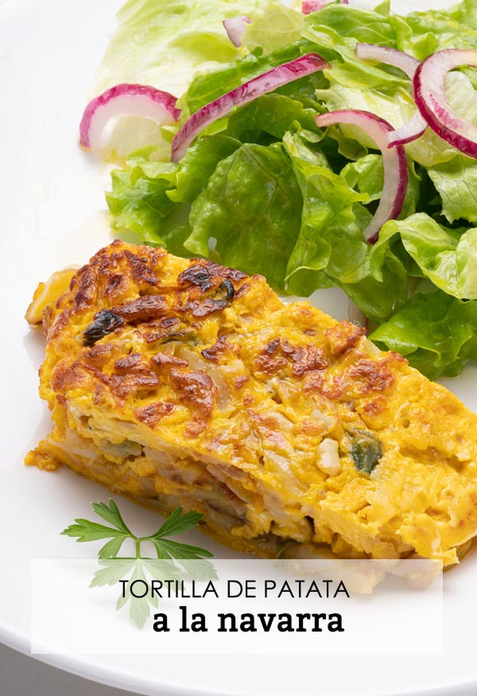 karl6633 tortilla navarra v