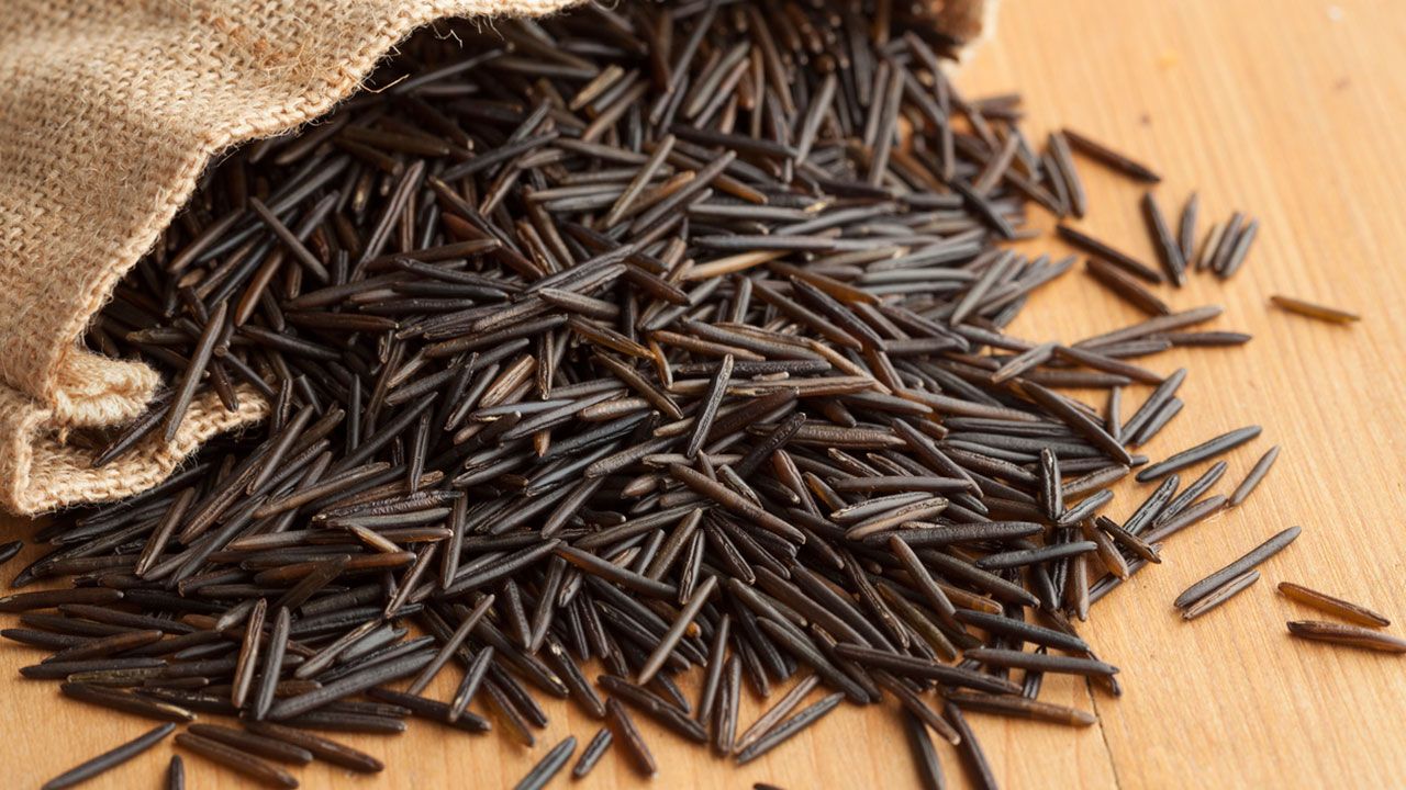 arroz salvaje