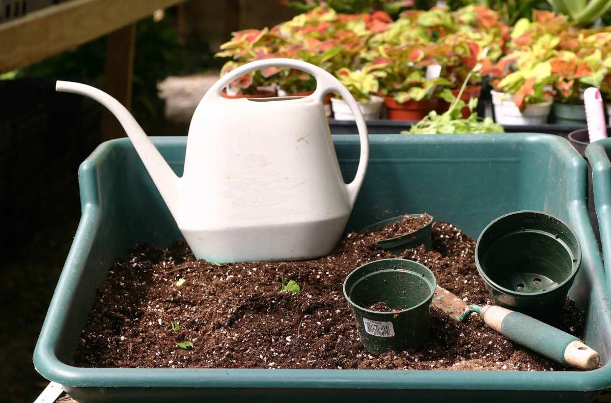 El sustrato hidrocontrol permite ahorrar hasta un 40% de riego