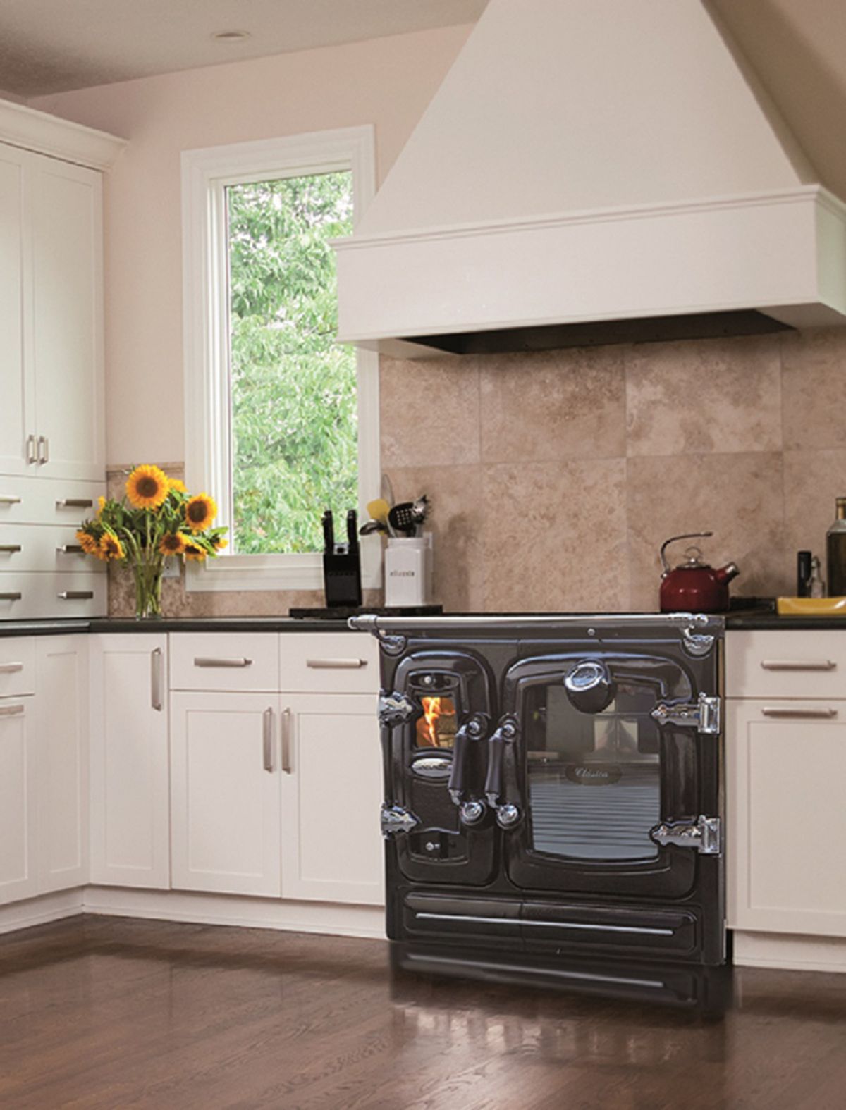 Cocinas de leña alternativa sostenible con múltiples ventajas 5