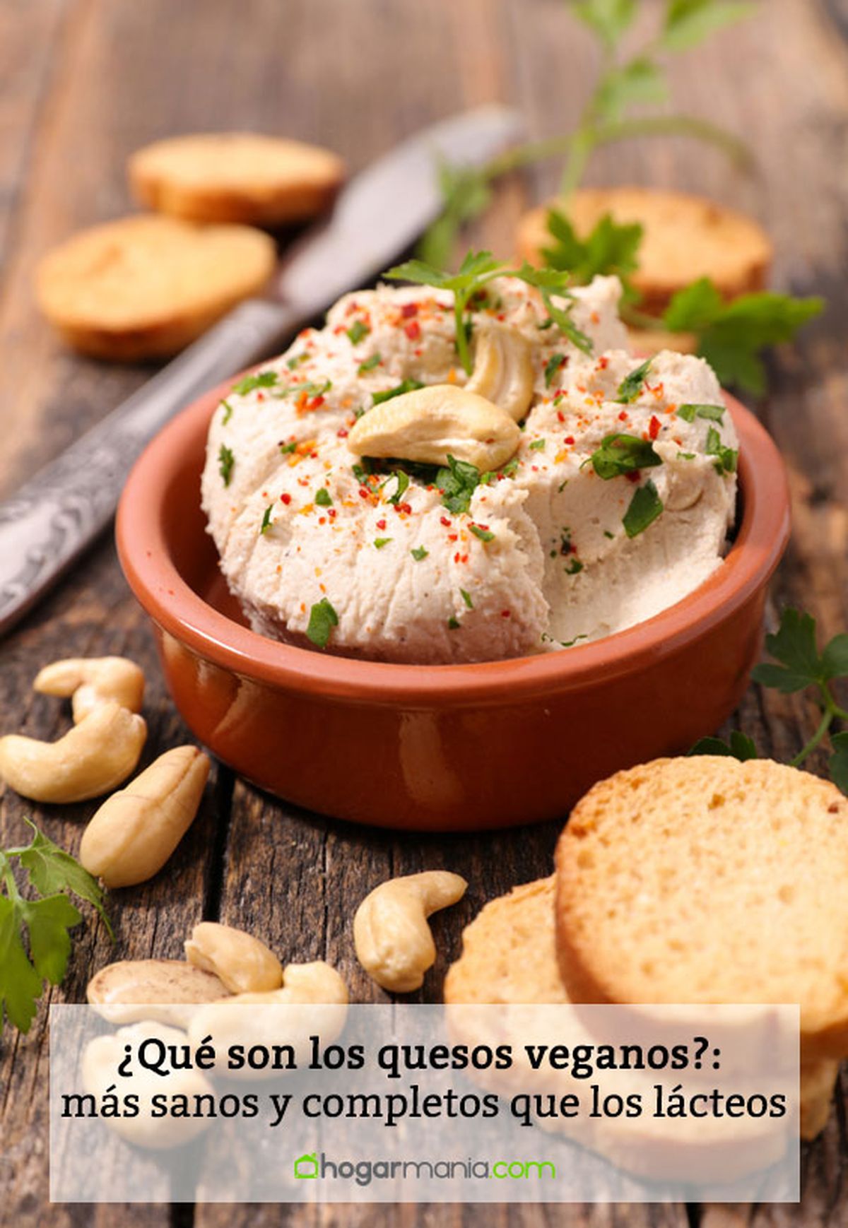 quesos veganos pin