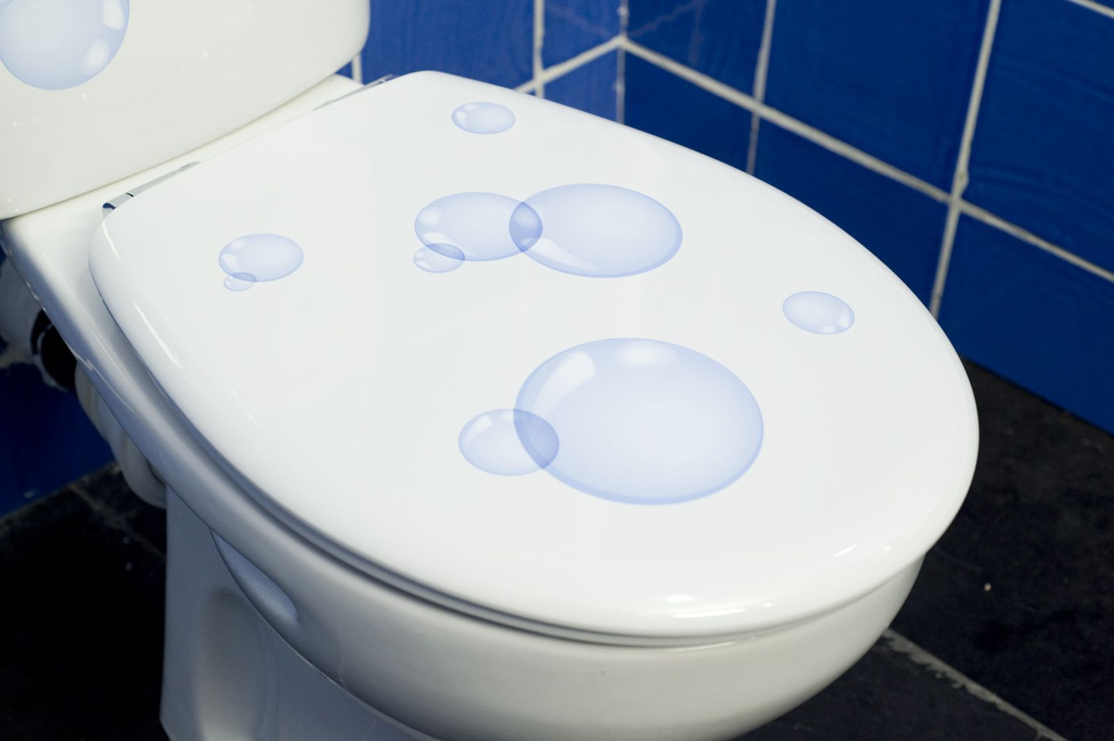 brico 0645 adhesivo inodoro paso xl