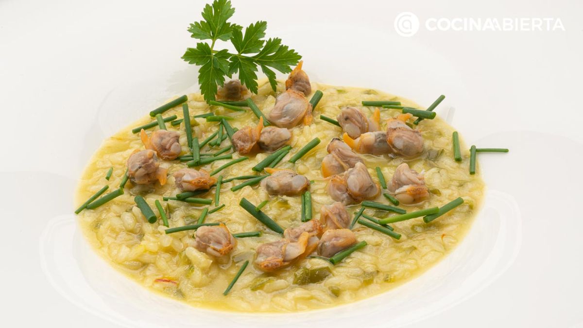 karl6707 arroz berberechos xl