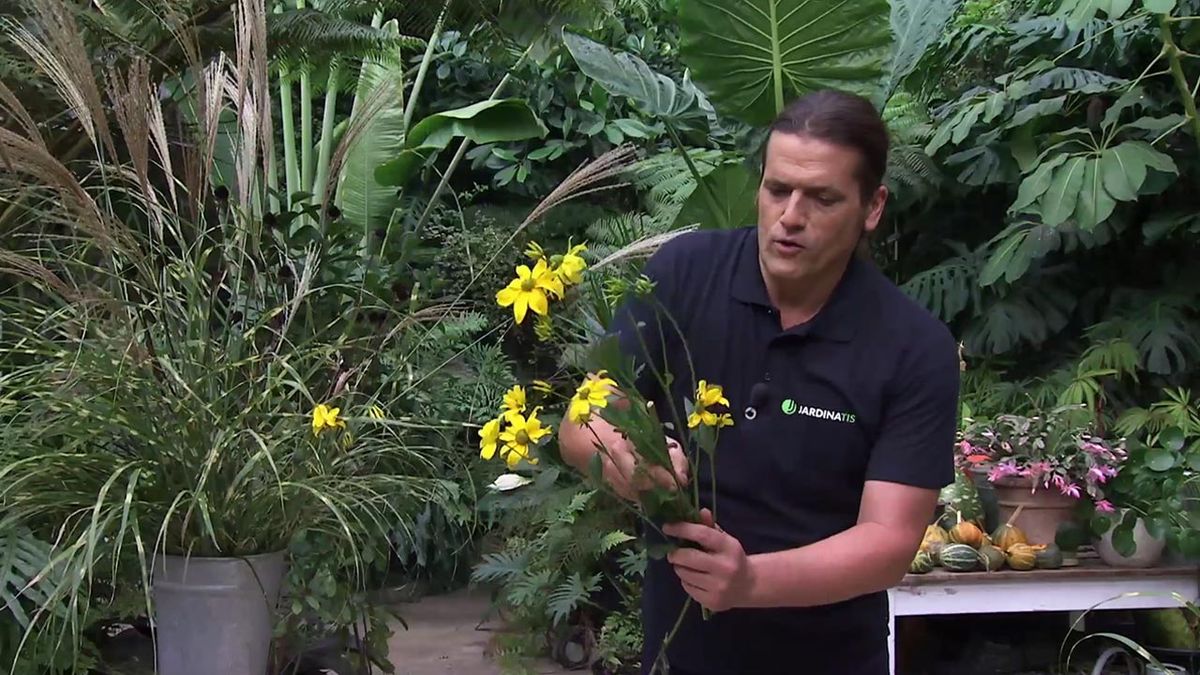 deco 754 jardin Miscanthus zebrinus rudbeckias arte floral