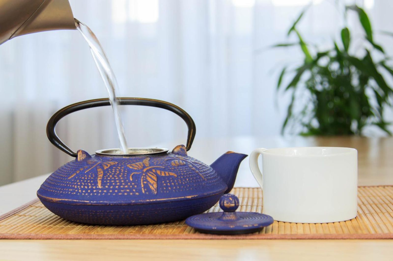 Tetera de hierro fundido o tetsubin