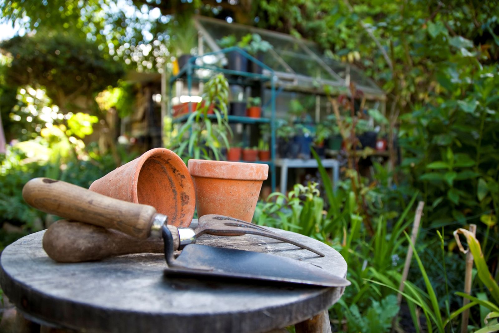 tareas jardinería julio