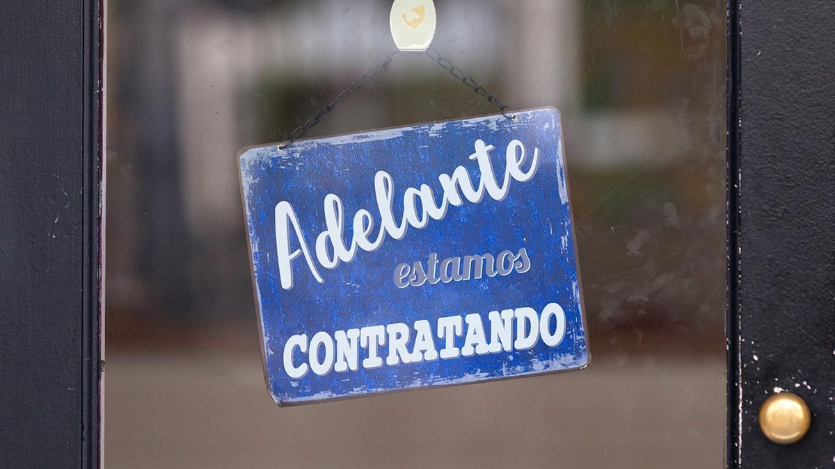 cosas que no deben faltar curriculum vitae segun universidad de Harvard