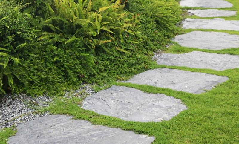 Camino de piedras