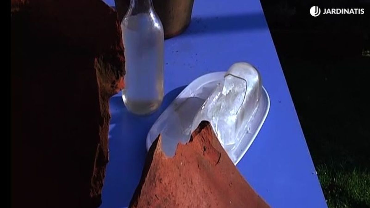 Botella de agua congelada