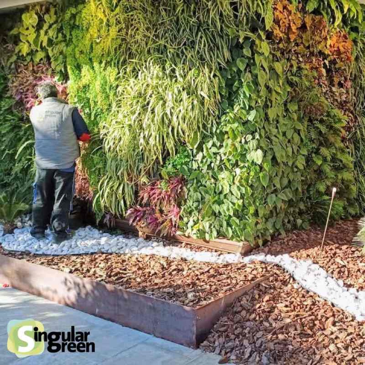 Plantas del jardín vertical del Hotel Don Pancho