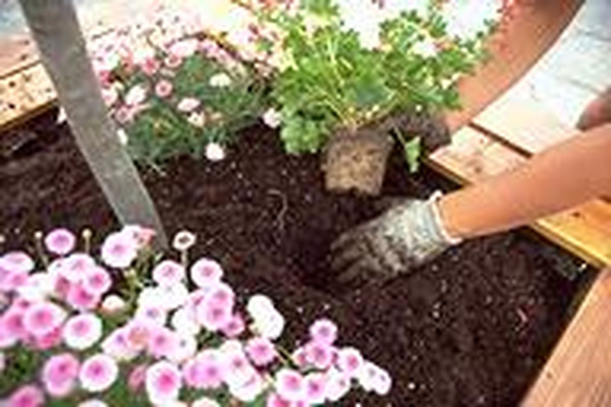 Jardinera o contenedor grande de madera paso 8