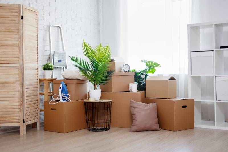 Elige cajas resistentes y precíntalas bien antes de la mudanza