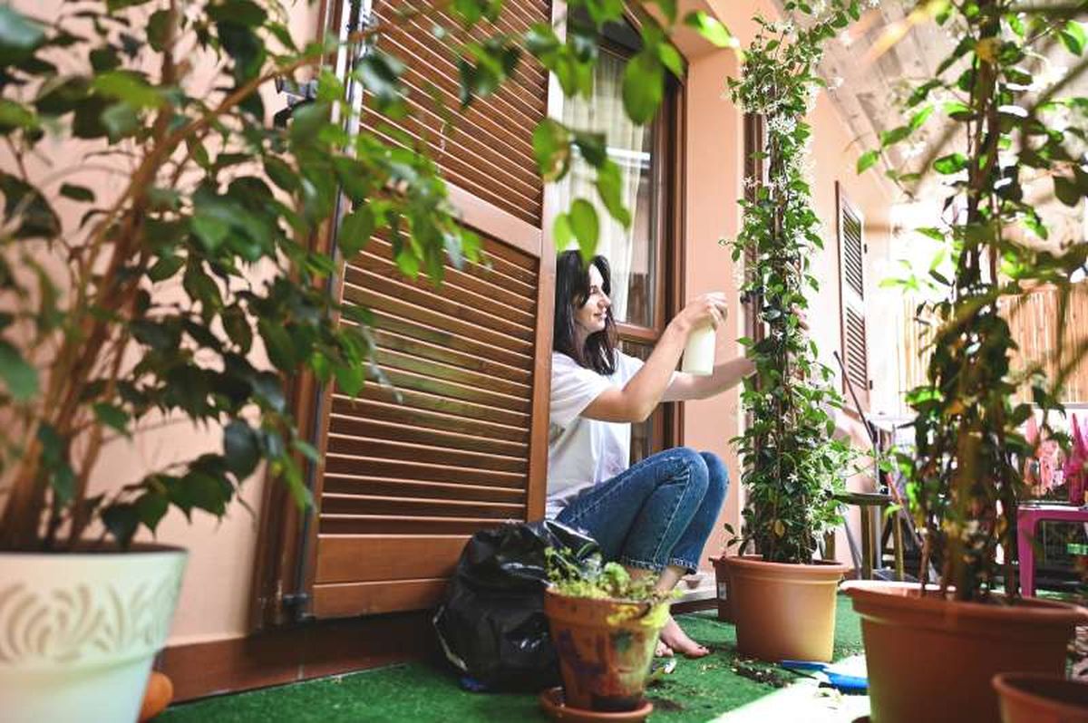 Mantén tus plantas bien cuidadas.