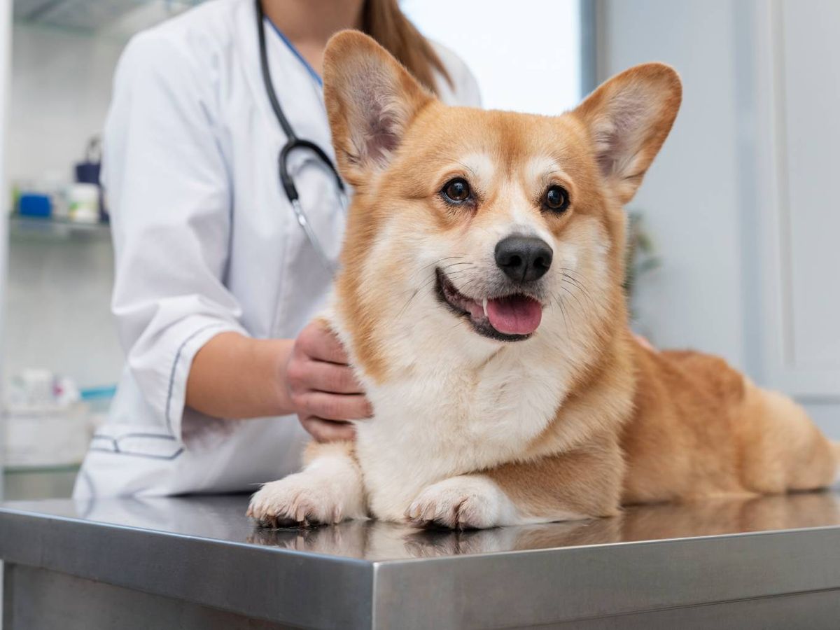 El diagnóstico precoz es clave para ofrecer el mejor tratamiento posible.