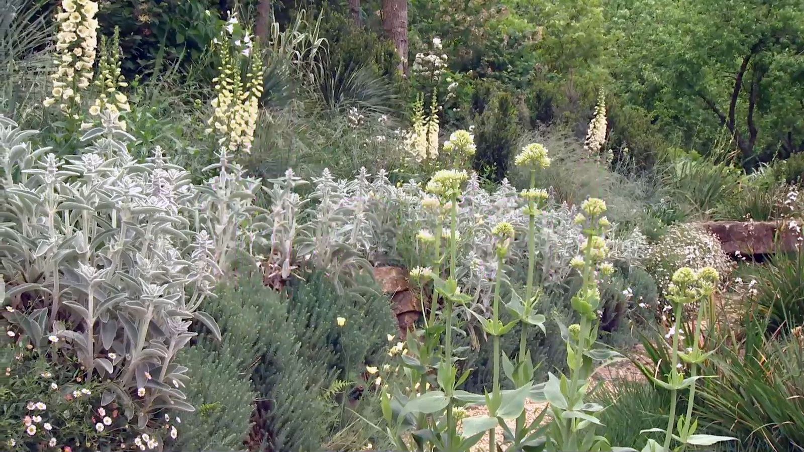 deco 697 jardineria plantas silvestres jardin xl