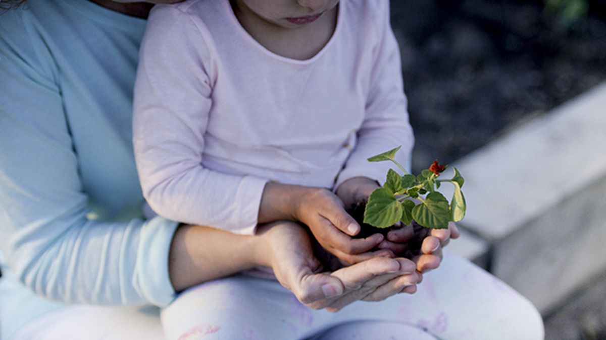 tareas de jardinería para compartir con los hijos