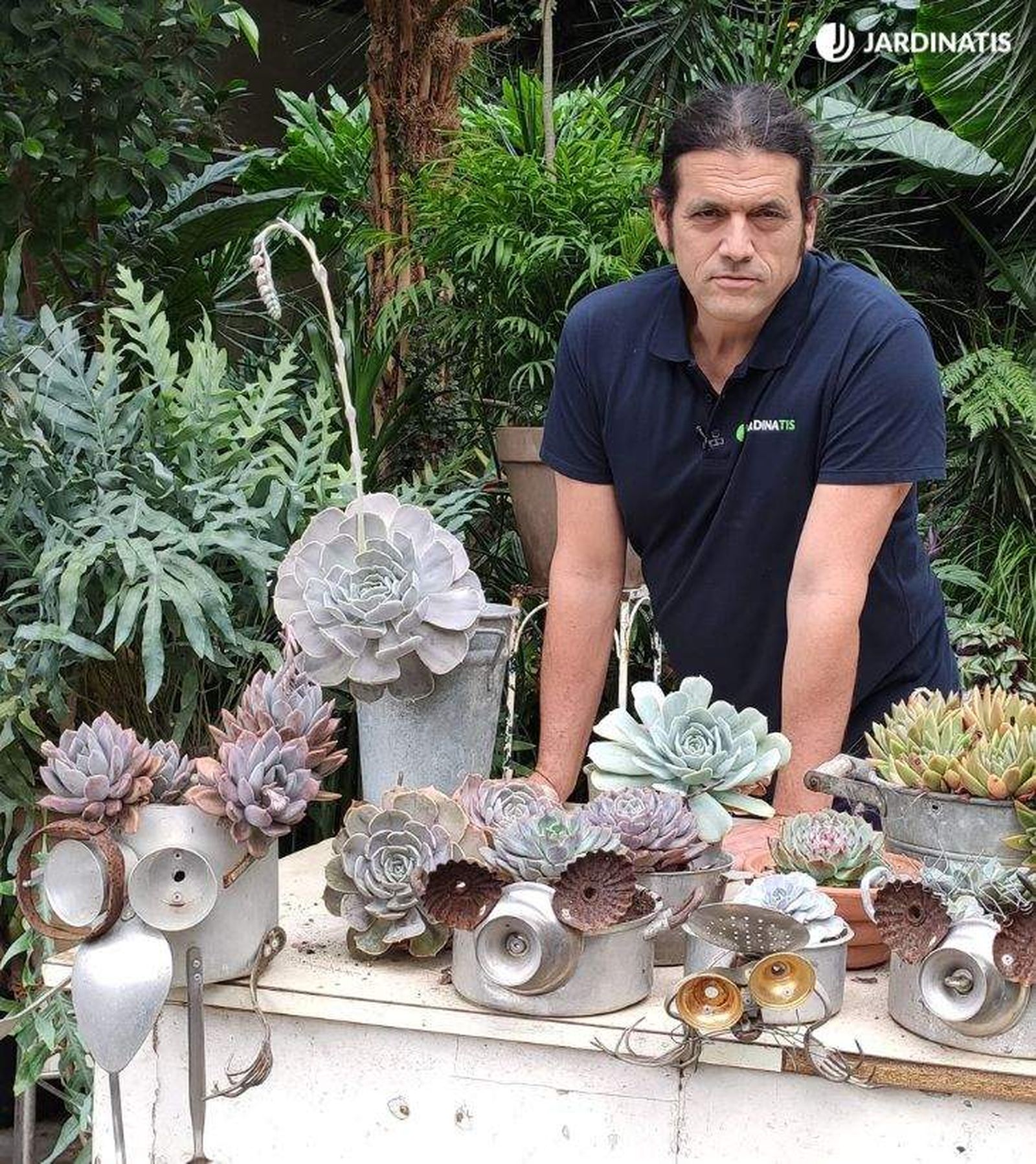 variedades de echeverias jardinatis 31