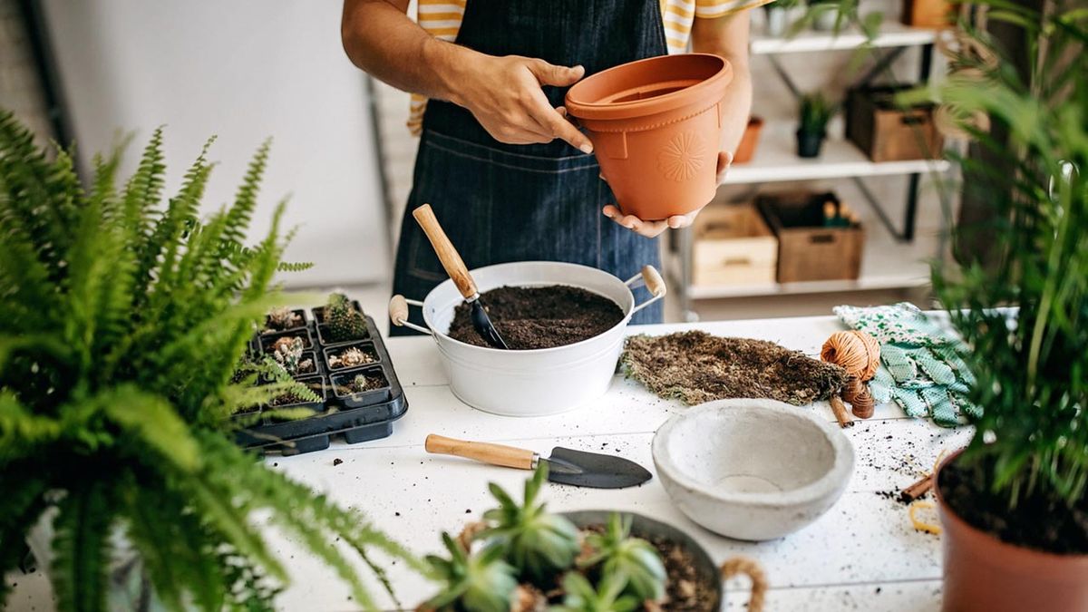 herramientas para plantas hogar xl