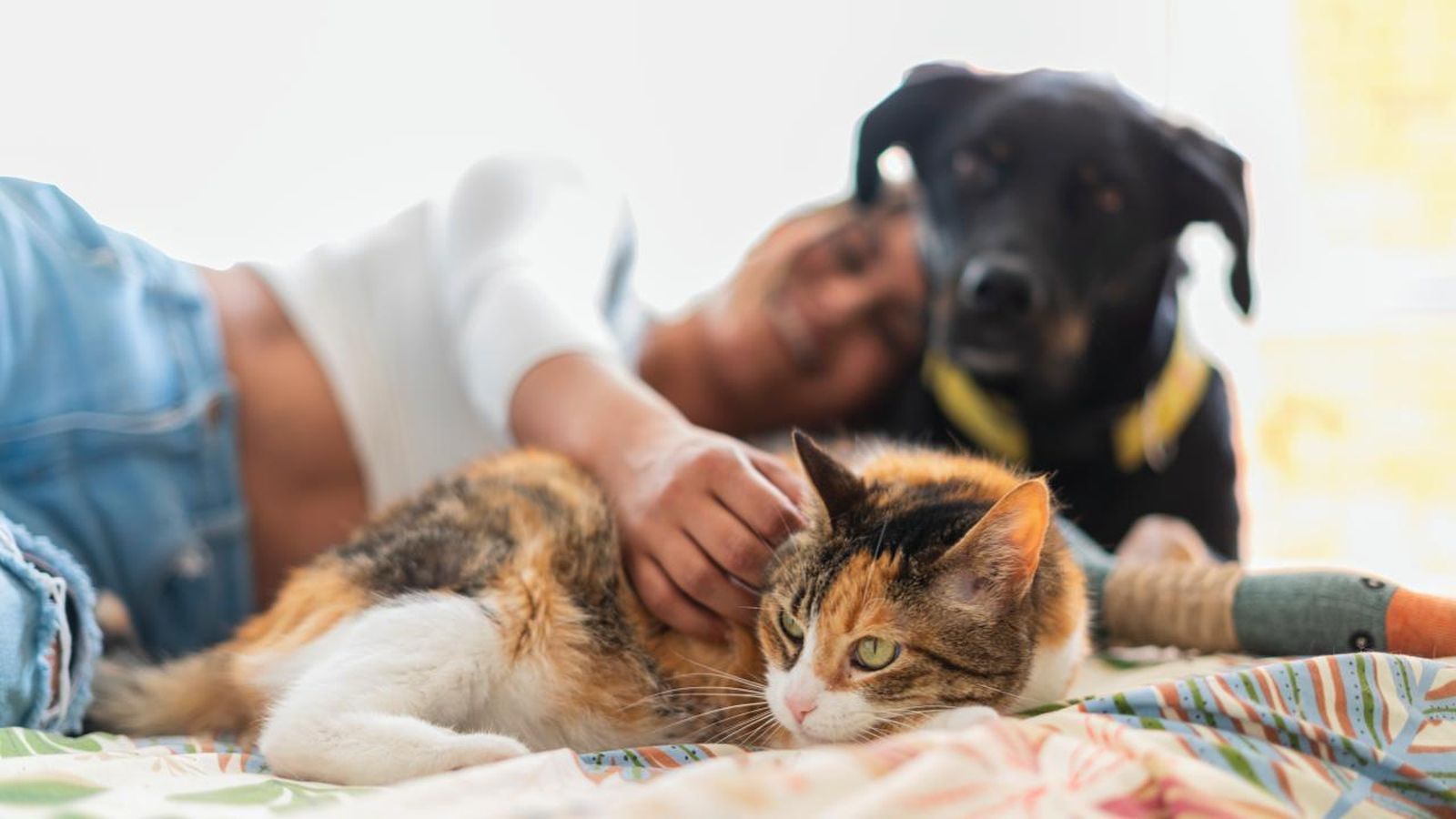 nombres originales para animales