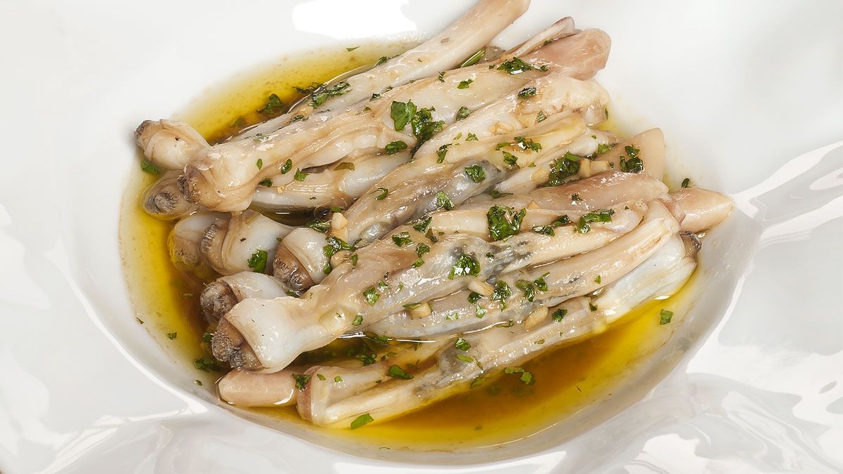 1268 navajas oriental xl