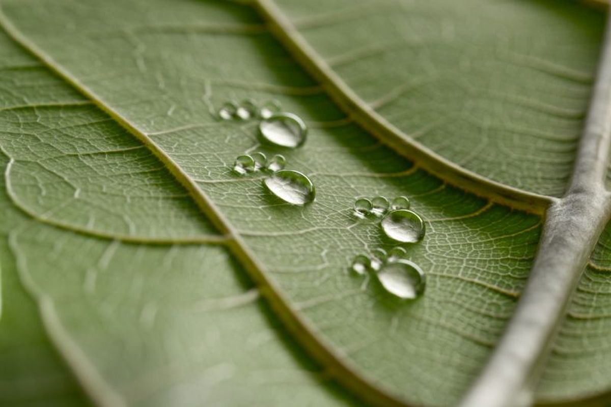 No lo uses cuando hay previsión de lluvia para evitar que se lave