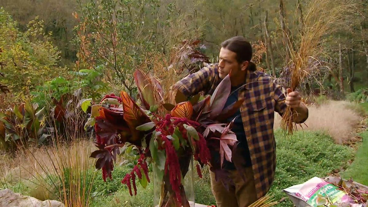 deco 636 arreglo floral invernal Panicum virgatum